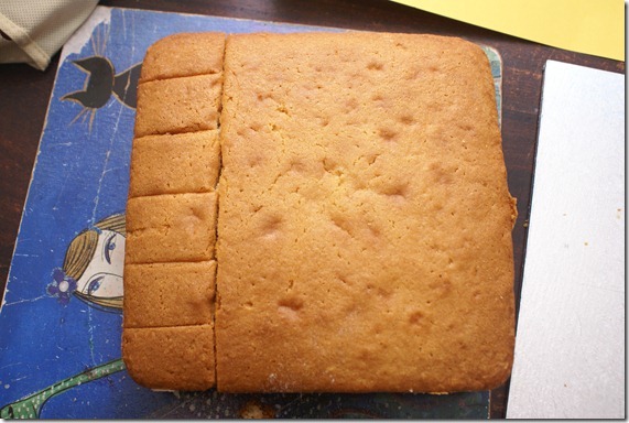 Cut off the feet pieces from the square cake